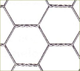 triple torsion